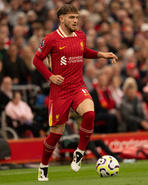 地需要经历 地需要经历